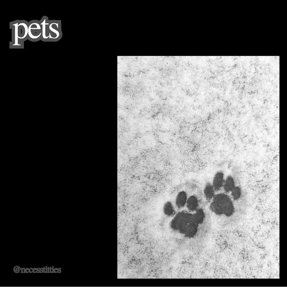 ♡︎ - Picture 2 of 12